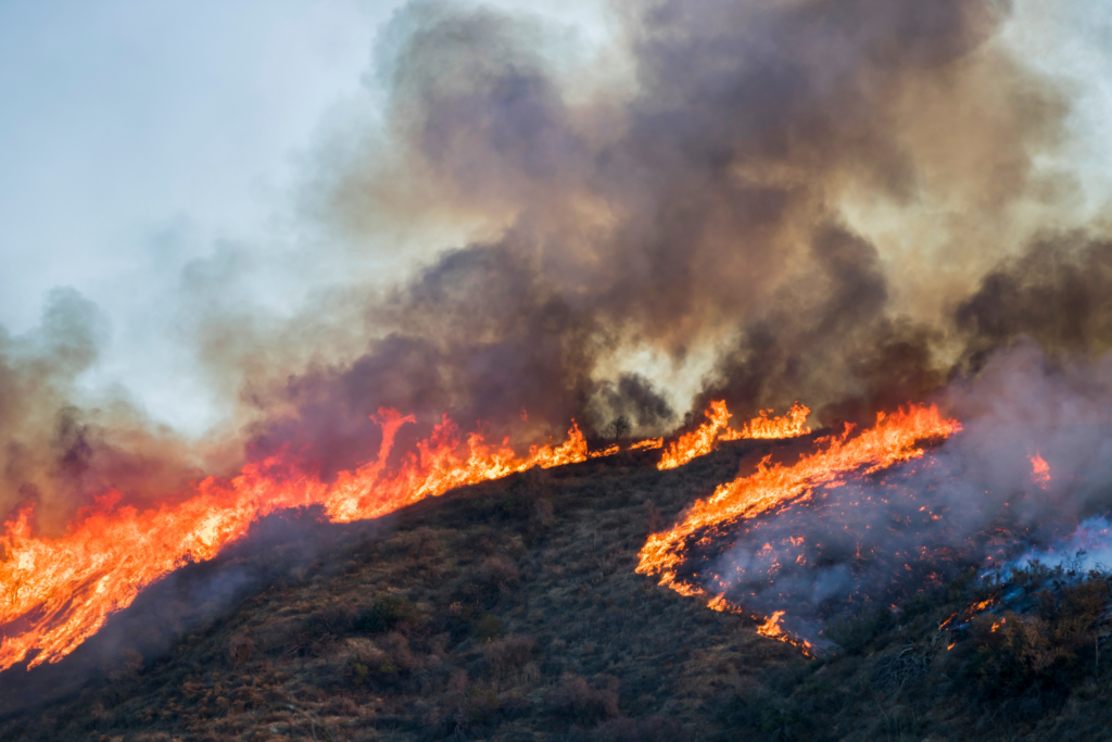 September 2024 California Wildfire