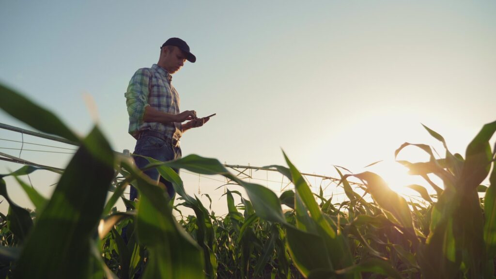 Safer Agriculture