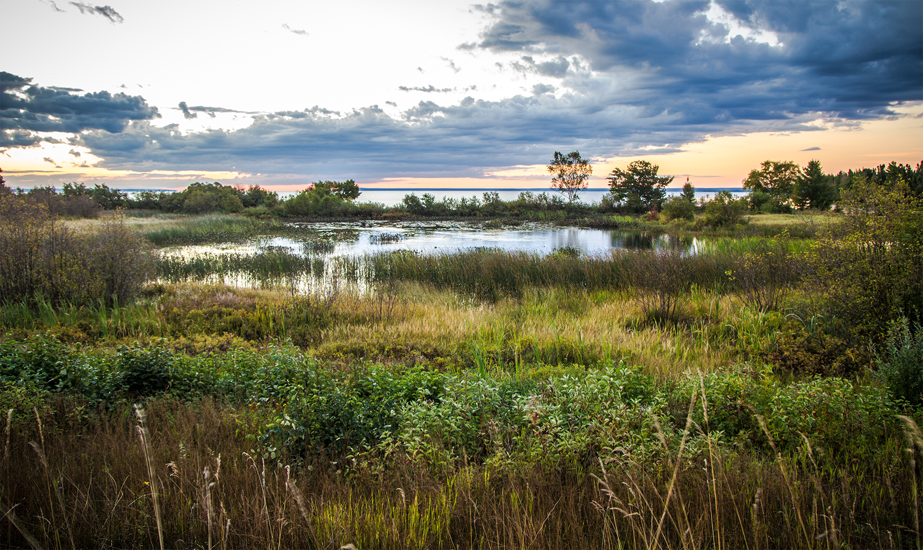 How Wetlands Protect the Midwest from Flooding